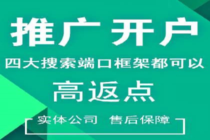 竞价推广策略：某电商平台的成功之路